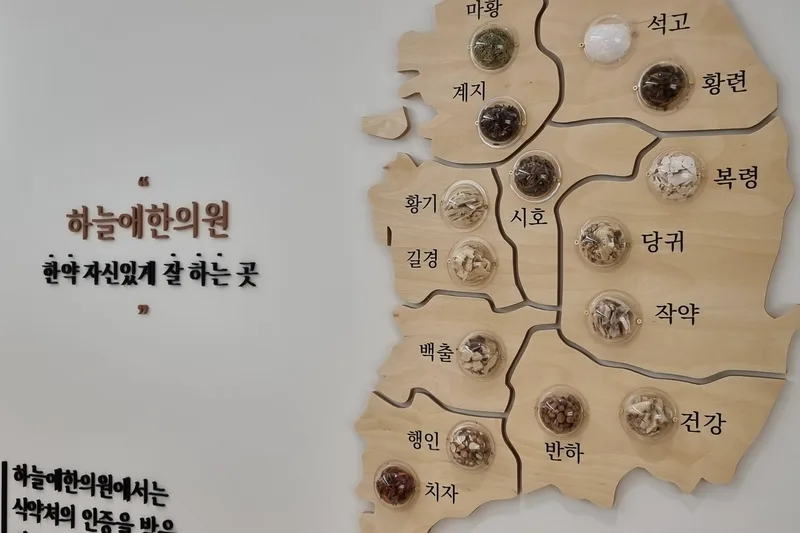 지역별 한약재가 표시된 부평하늘애한의원 벽면 지도