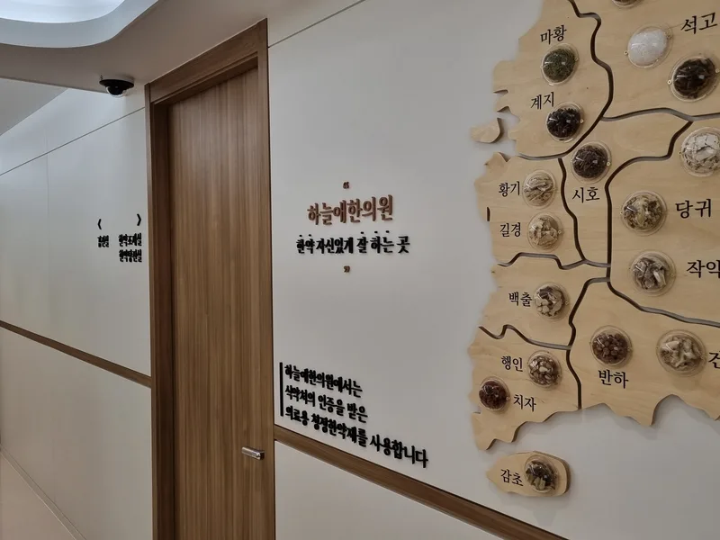 지역별 한약재가 표시된 부평하늘애한의원 벽면 지도